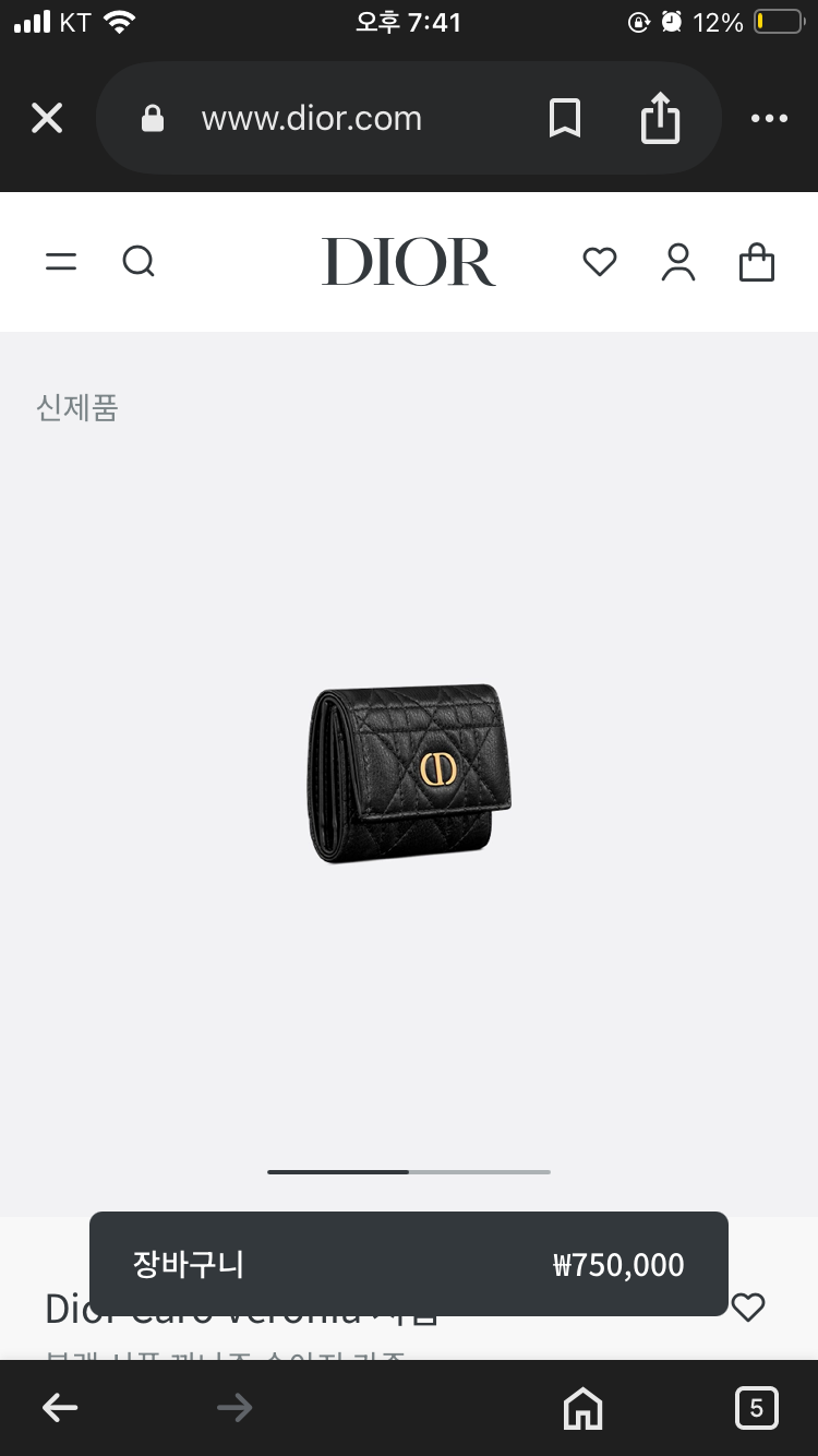 디올 지갑
